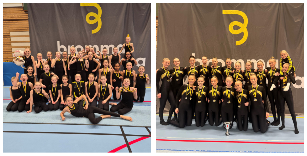 Skärmbild 2025-12-03 134849.png